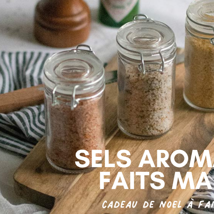 Sels aromatisés faits maison