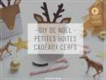 DIY DE NOEL