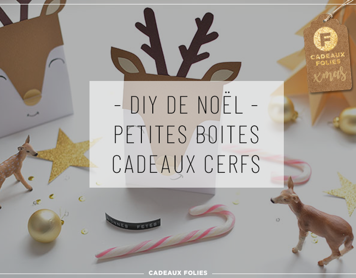 DIY DE NOEL