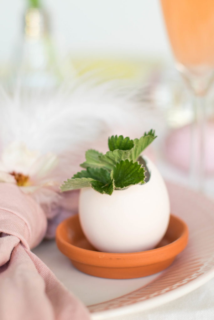 Plante dans un pot en forme d'oeuf