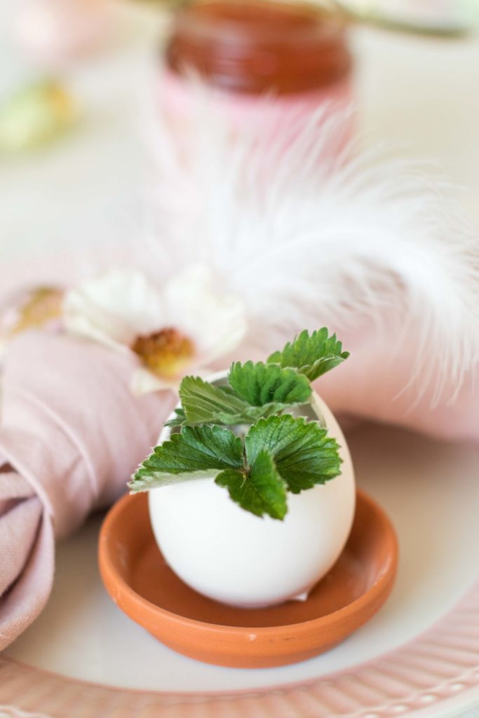 Plante dans un pot en forme d'oeuf