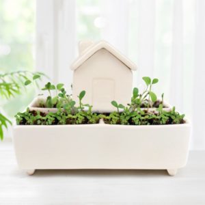 Système d'arrosage en forme de petite maison et jardin en céramique