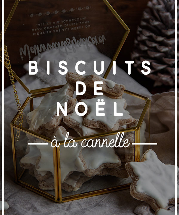 biscuits noel cannelle