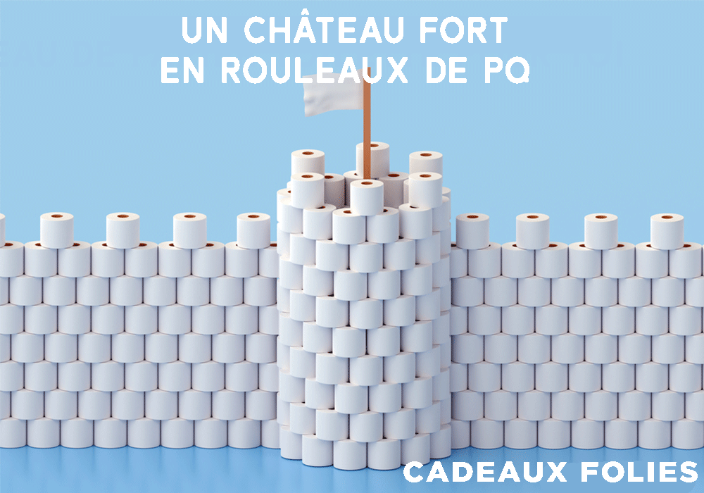 10 choses à faire avec ses (nombreux) rouleaux de PQ