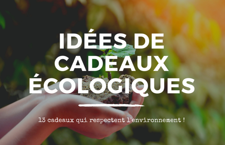 cadeau écologique header