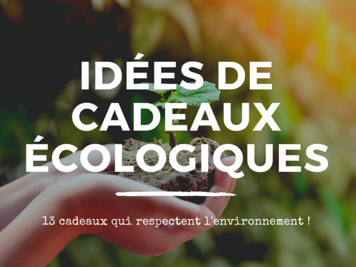 cadeau écologique header