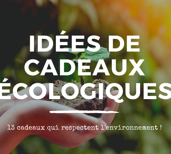 cadeau écologique header