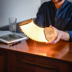 cadeau écologique lampe accordéon gingko 1