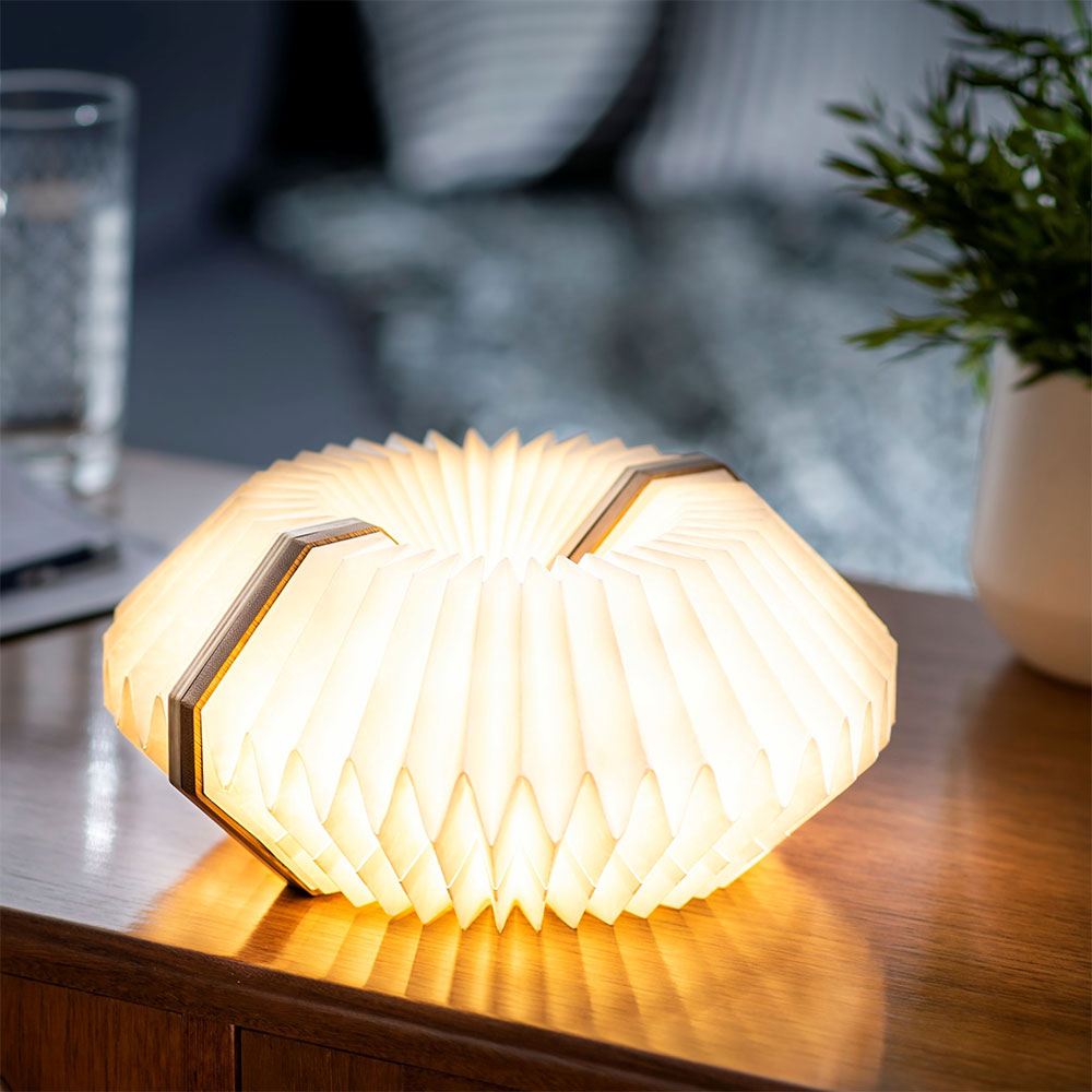 cadeau écologique lampe accordéon gingko 3