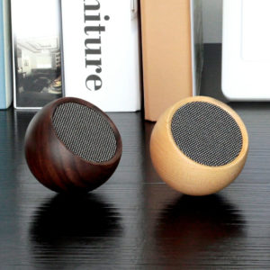 cadeau écologique enceinte Bluetooth gingko 1