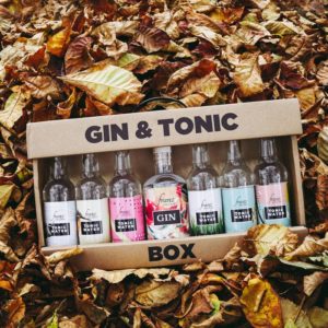 Coffret gin tonic avec 1 bouteille de gin et 6 petites bouteilles de tonic