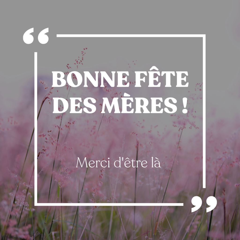 Image avec champs de fleurs et texte Bonne fête des Mères !