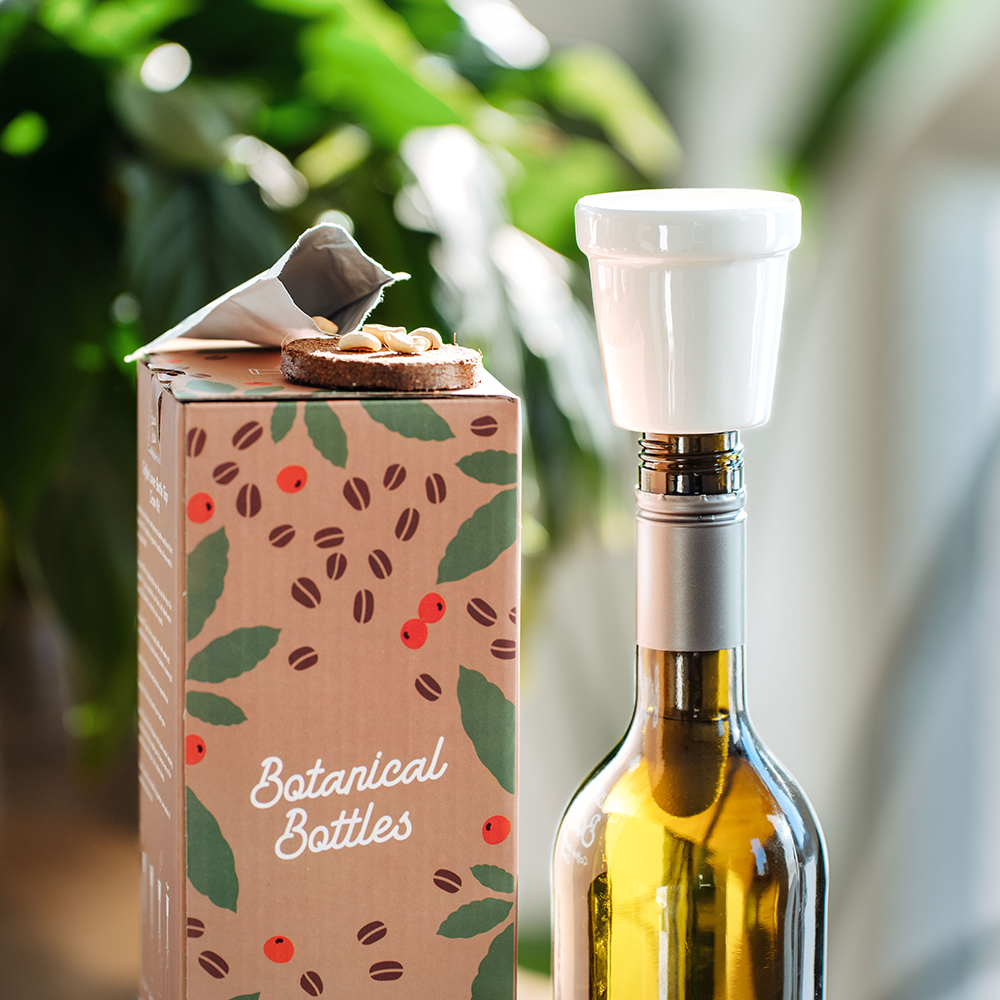Kit de plantation de caféier en bouteille