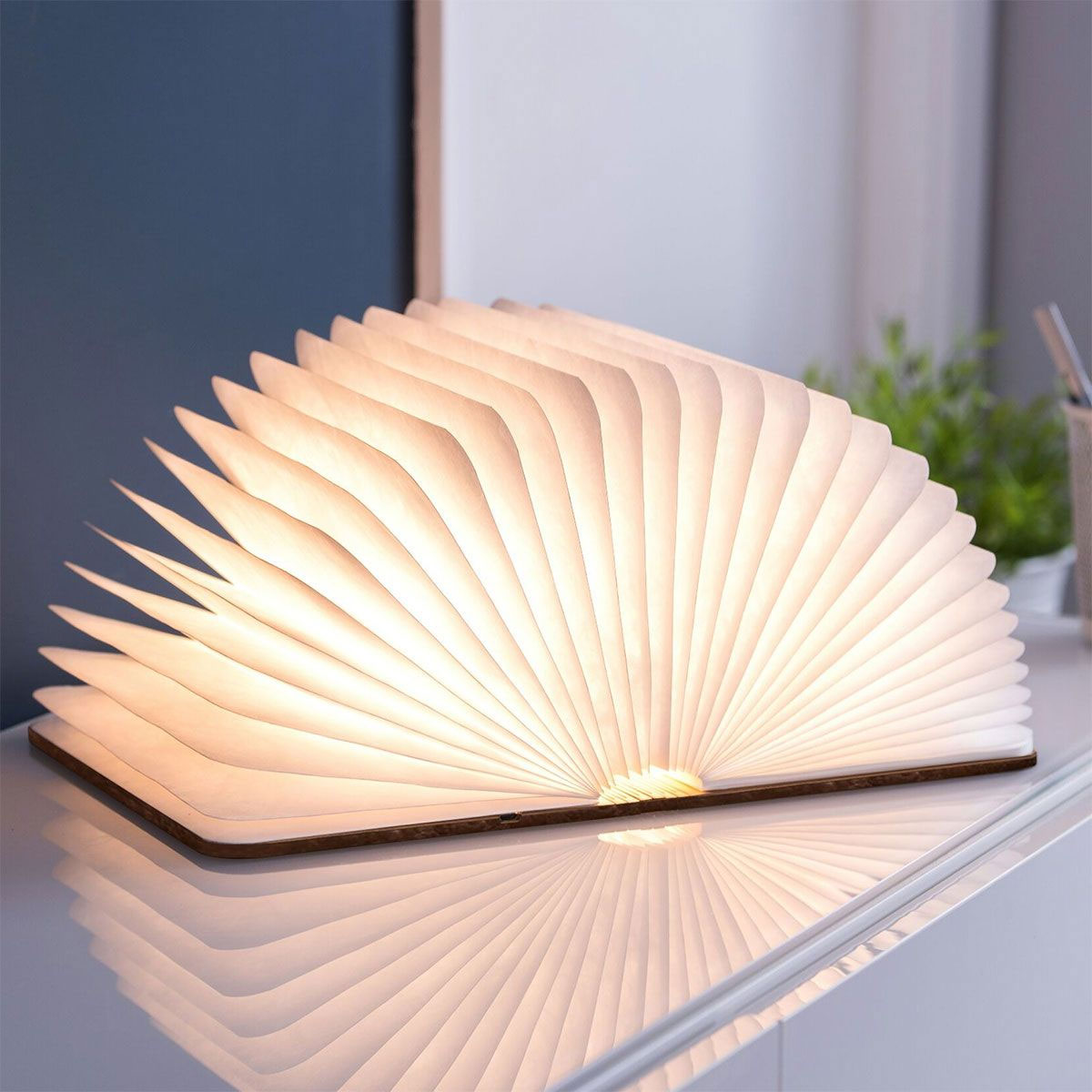 Lampe Livre personnalisée avec Photo et Texte