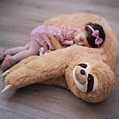 Coussin paresseux géant