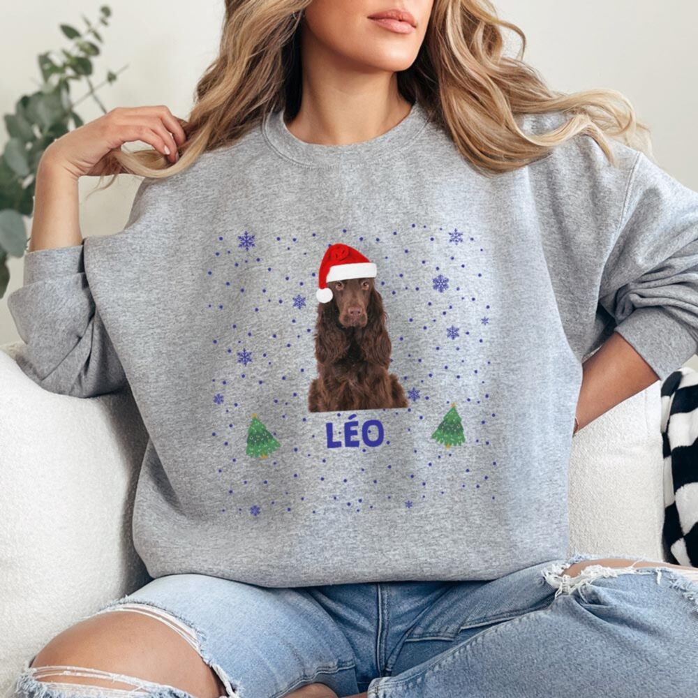 Pull de Noël personnalisé avec animal de compagnie et texte