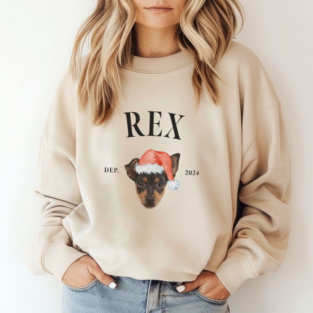 Pull personnalisé avec animal de compagnie et bonnet de Noël