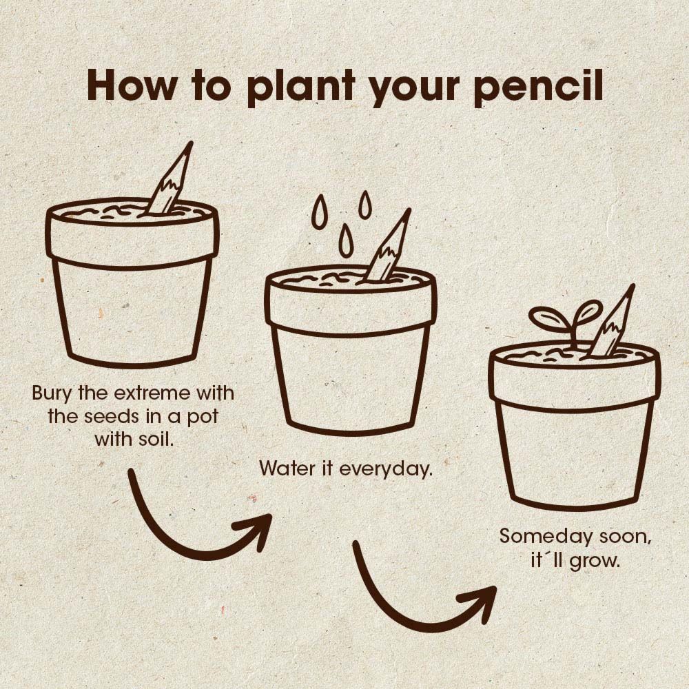 Crayons à planter - Lot de 5