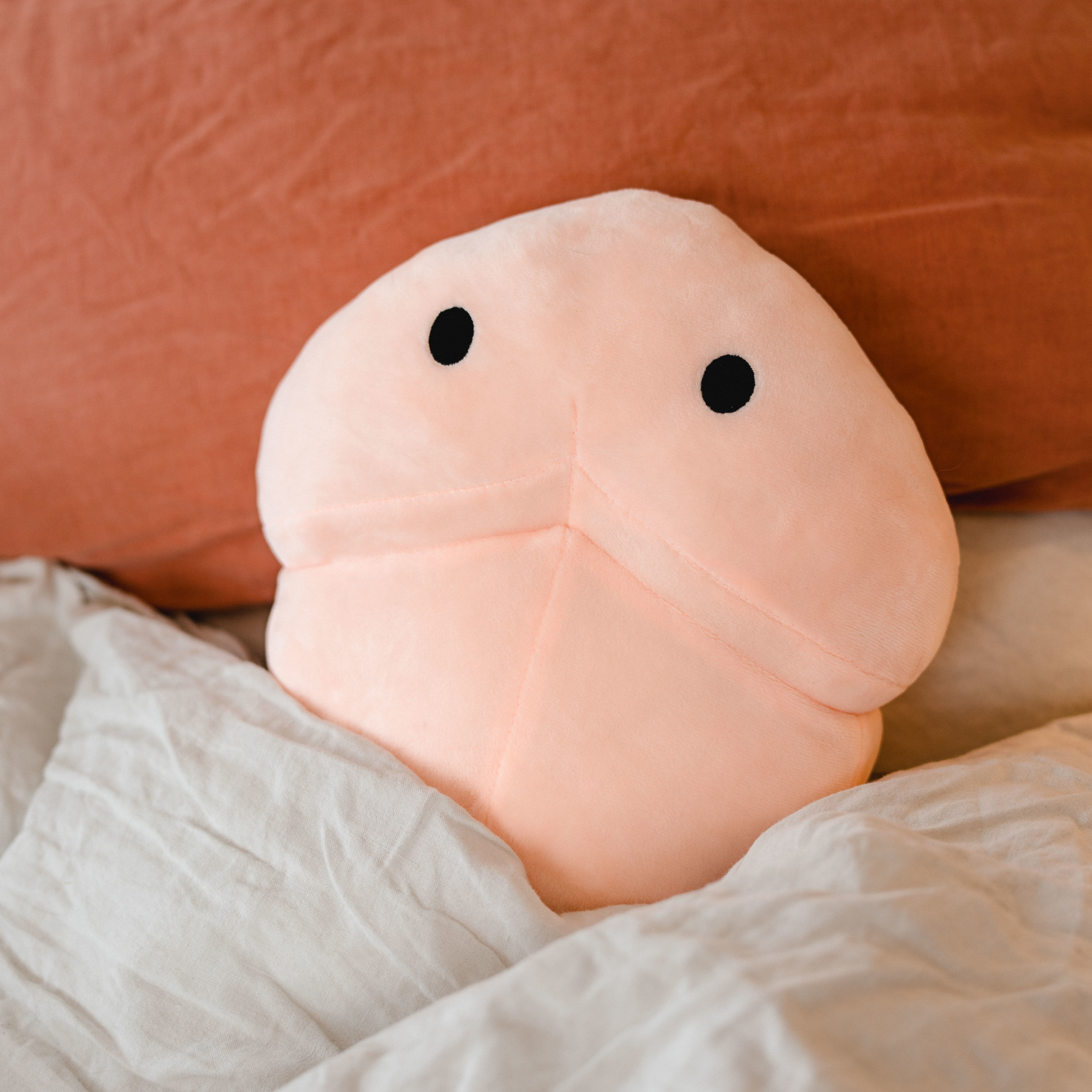 Coussin De Siège En Forme De Pénis - Modèle 2 - Longueur 30