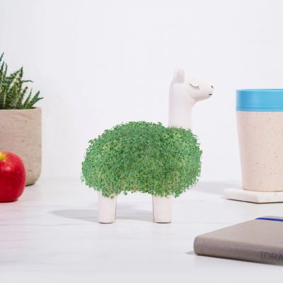 cadeaux pour femmes le lama vert