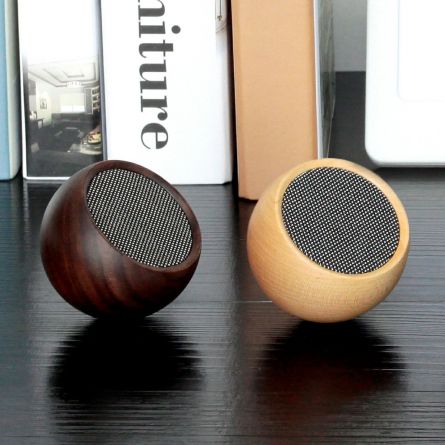 Enceinte Bluetooth Gingko