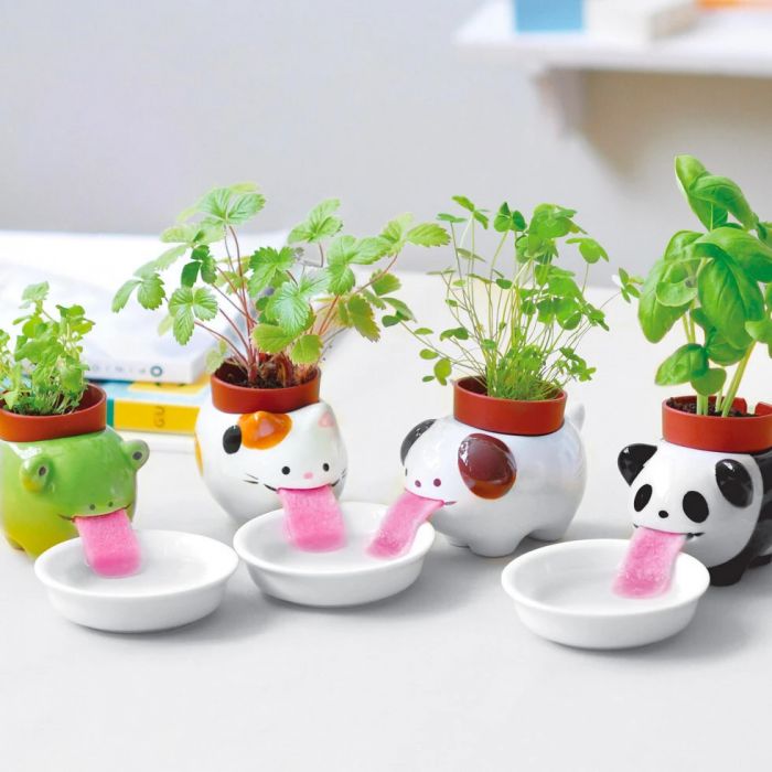 Peropon Plante Animal main product photo