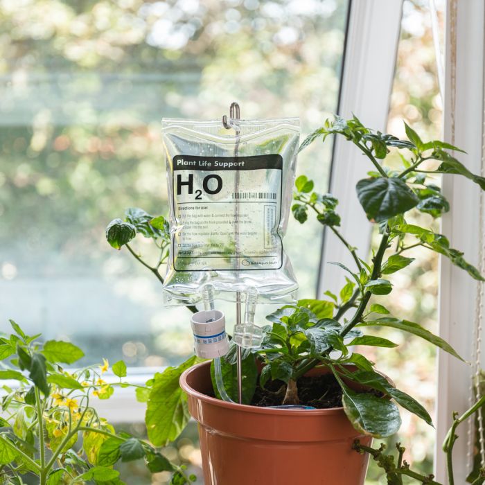 Distributeur d'eau Plant Life Support main product photo