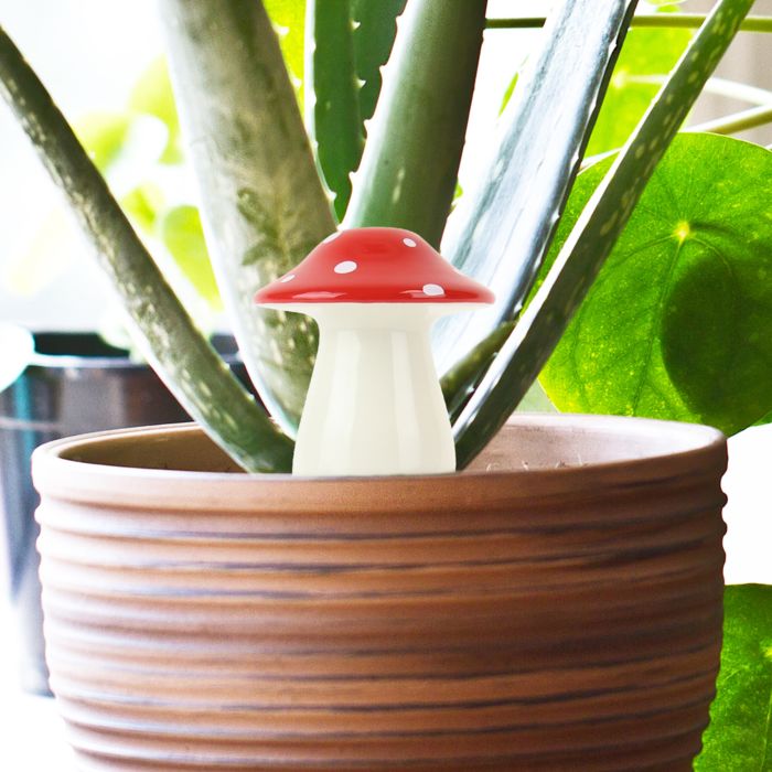 Distributeur d’eau Champignon main product photo