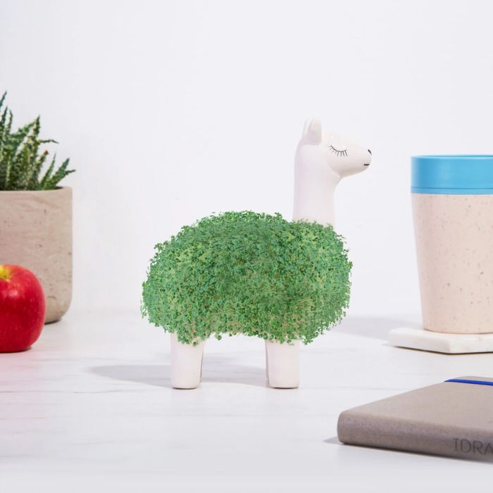 cadeaux pour femmes le lama vert