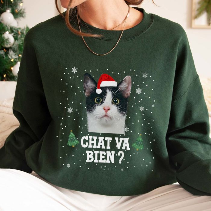 Pull de Noël personnalisé avec animal de compagnie et texte