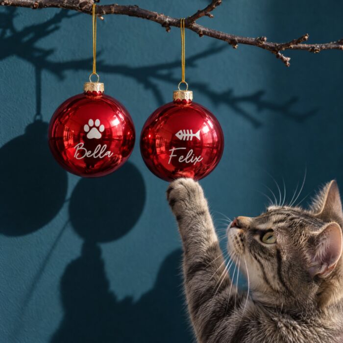 Boules de Noël personnalisées avec animal de compagnie – Lot de 2