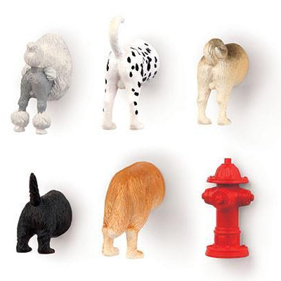 Lot de 6 Aimants Derrières de chien