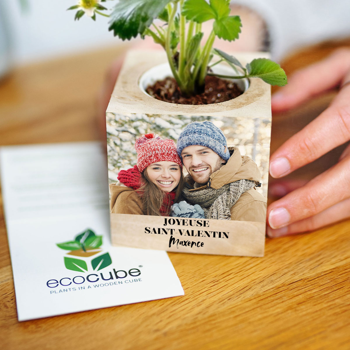 Ecocube personnalisé - Plante dans cube en bois avec grande photo et texte