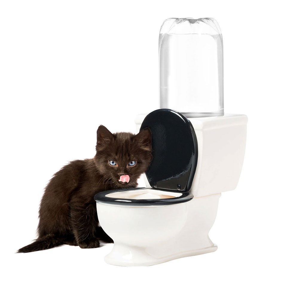 Gamelle pour Animaux Toilettes WC