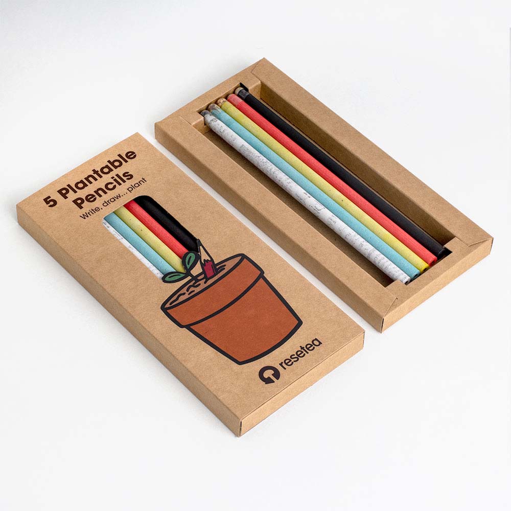 Crayons à planter - Lot de 5