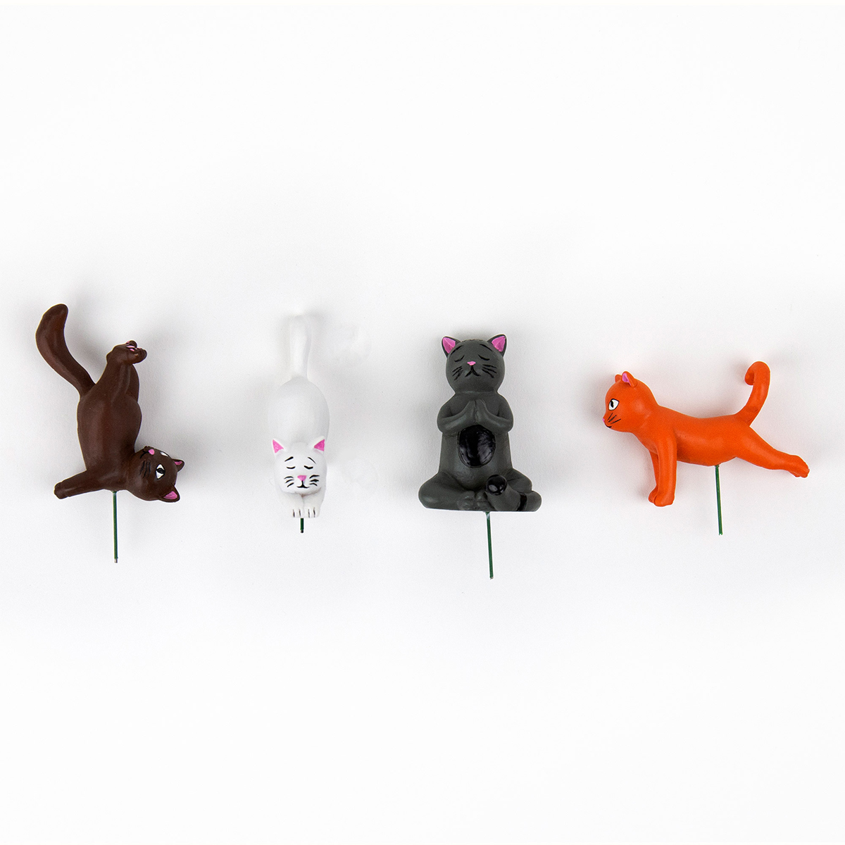 Chats yogis pour pots de fleurs