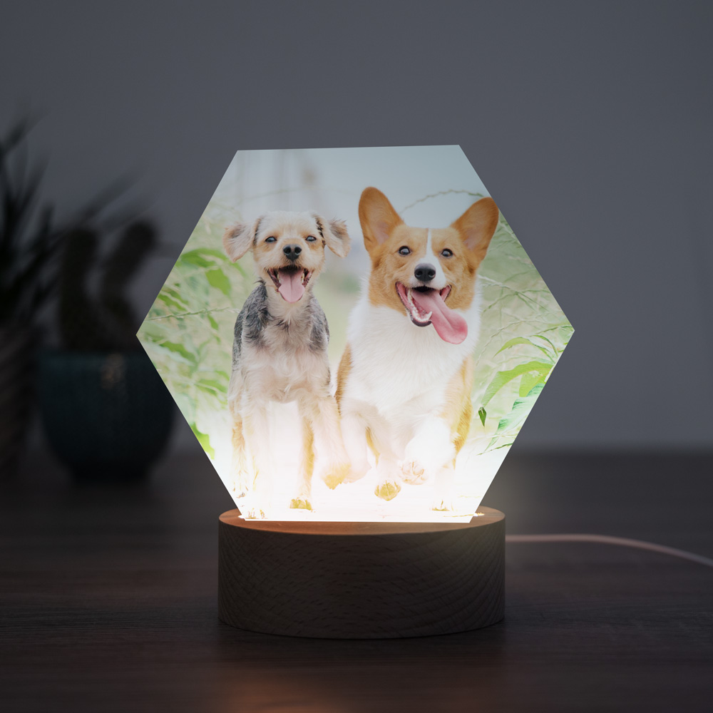 Lampe LED personnalisée avec photo Cadeaux pour animaux Lampe LED avec photo
