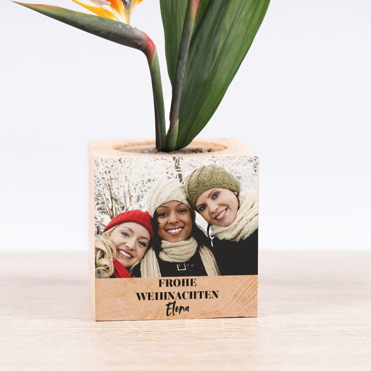 cadeau de noel pour femmes ecocube plantes dans cube de bois avec grande image et texte