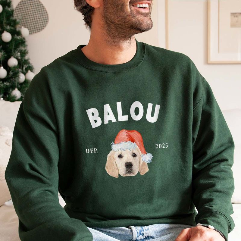 Pull personnalisé avec animal de compagnie et bonnet de Noël Pull personnalisé avec animal de compagnie et bonnet de Noël