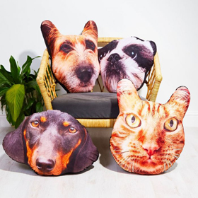 Animaux