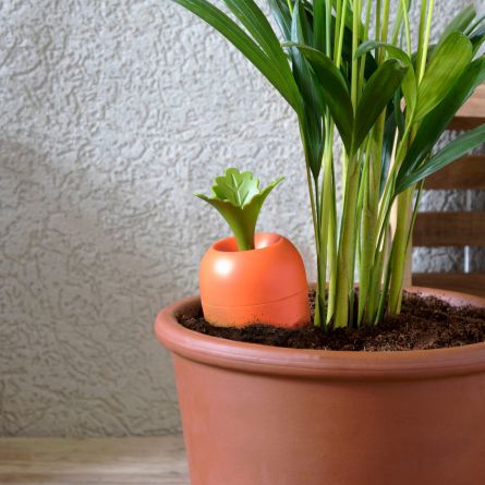 Arroseur Care It pour pots de fleurs