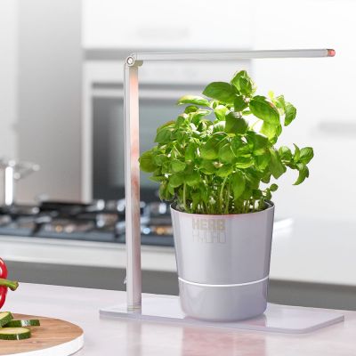 SOLDES - Lampe Herb Booster