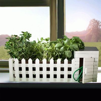 Idées cadeaux parents - Mini jardin d’intérieur