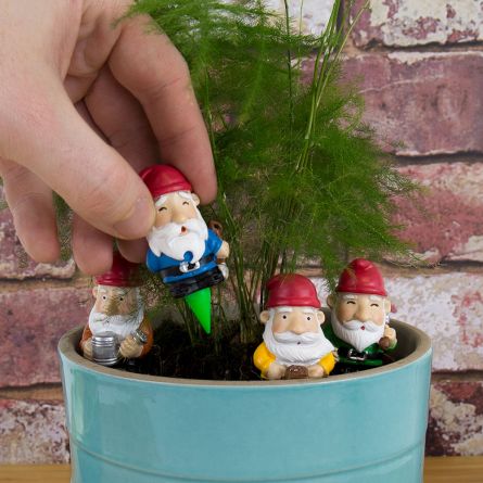 Ensemble de 4 Mini Nains de Jardin
