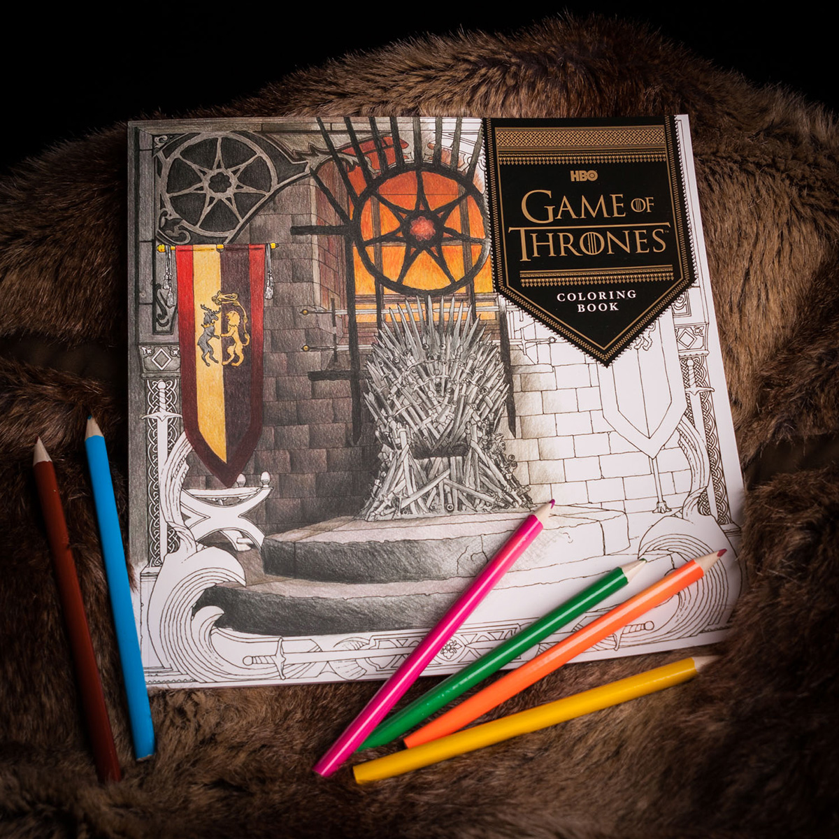 Cahier de coloriages Game of Thrones 14 95 €